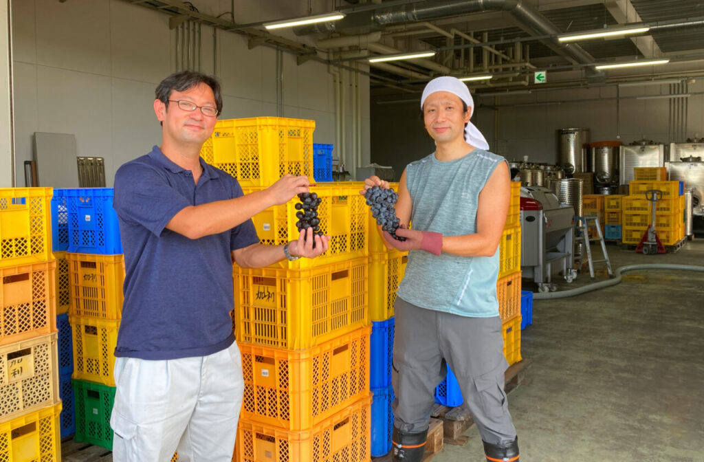 芳賀さんと共に、醸造計画や今年のブドウの出来について話してくれた醸造責任者の白井尚所長（右）